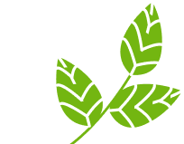 G&G LANDSCAPING SERVICES LLC