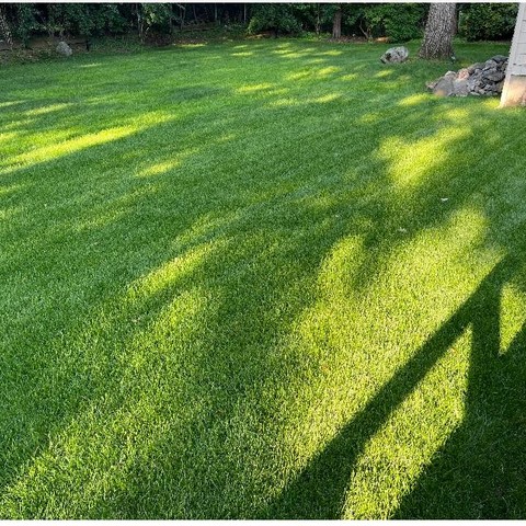 G&G LANDSCAPING SERVICES LLC