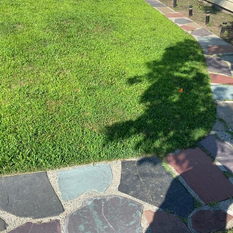 G&G LANDSCAPING SERVICES LLC