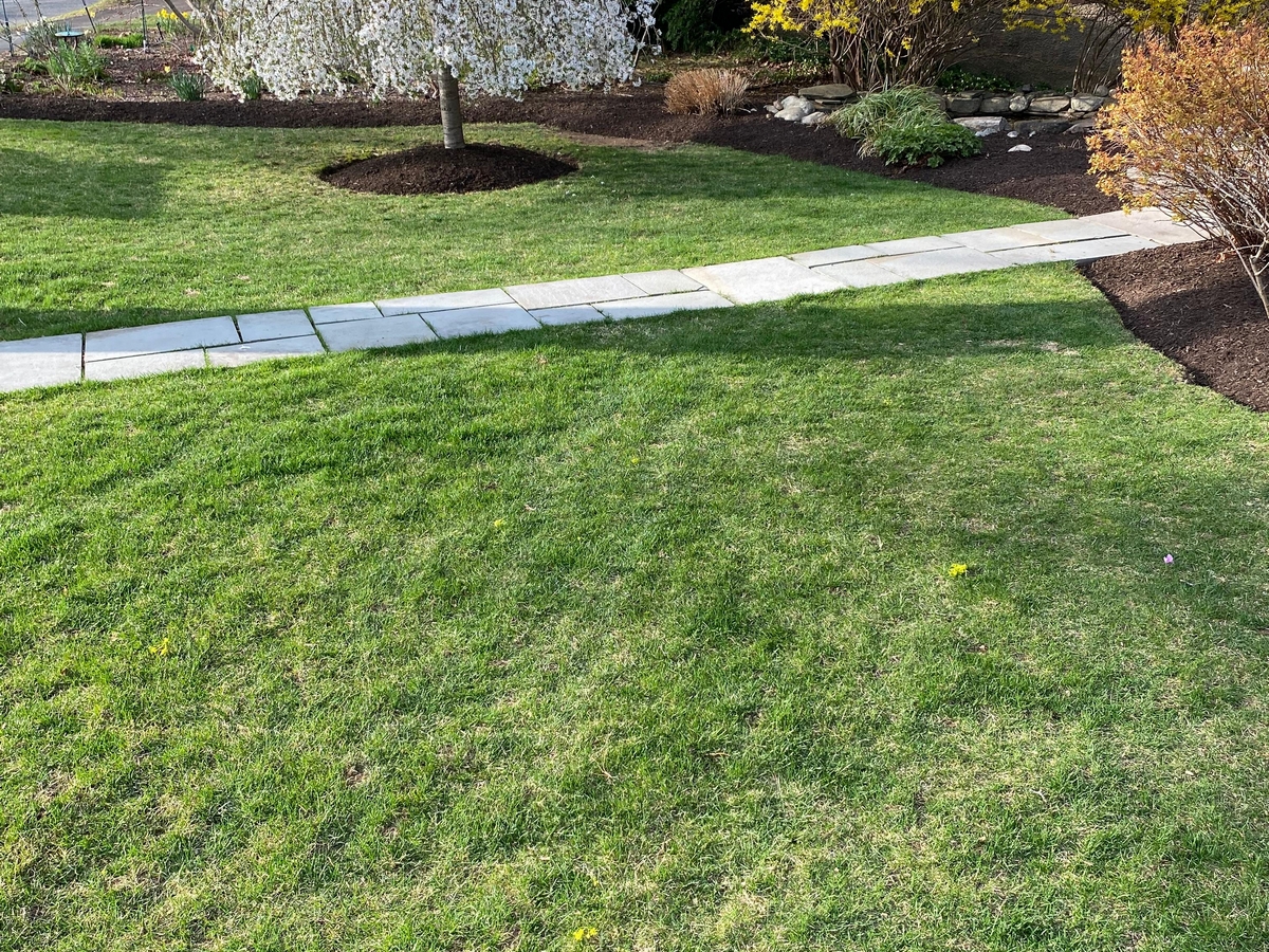 G&G LANDSCAPING SERVICES LLC