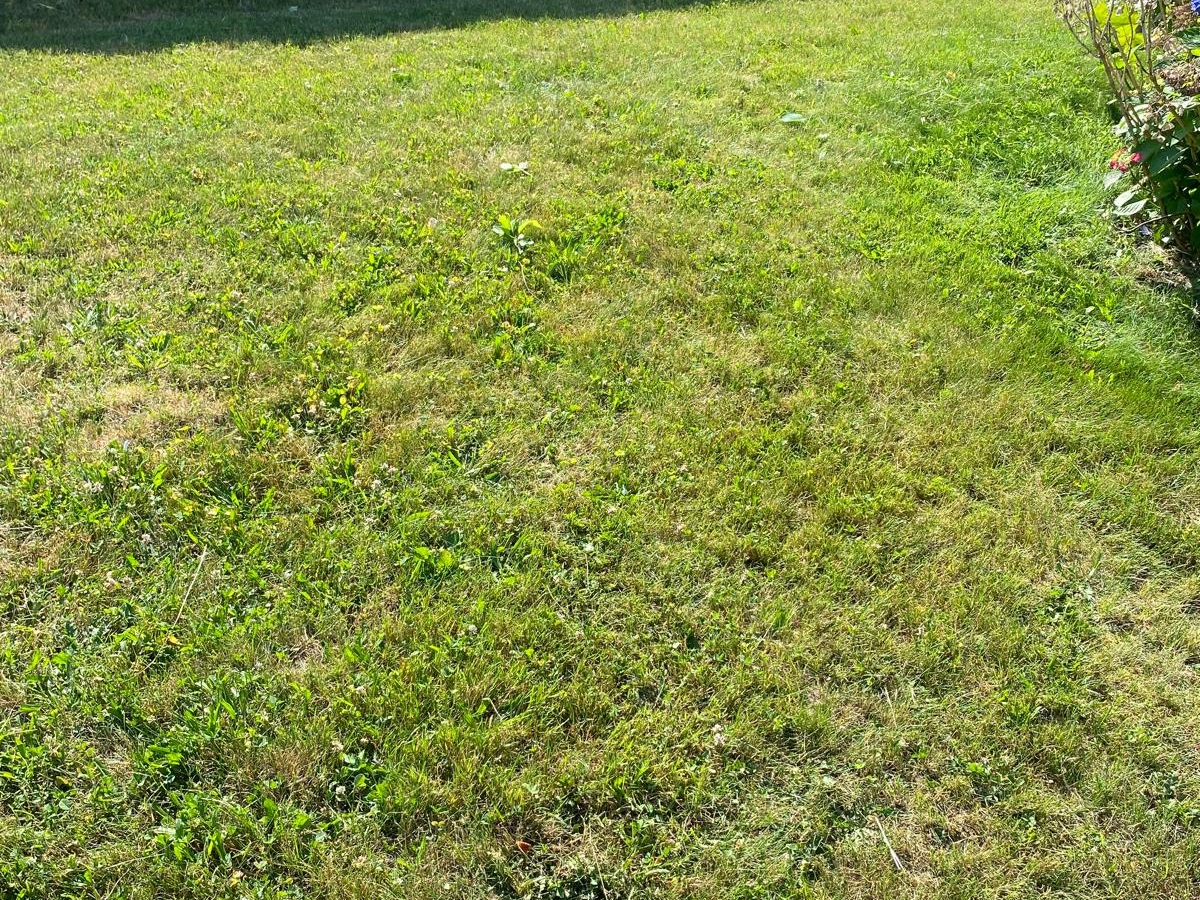 G&G LANDSCAPING SERVICES LLC