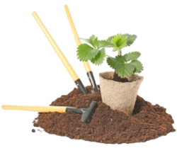 G&G LANDSCAPING SERVICES LLC